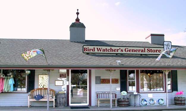 Bird Watcher s General Store All You Need to Know BEFORE You Go