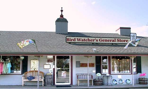 Toucan Kitchen Shears  Bird Watcher's General Store
