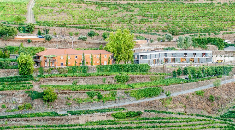 Wine hotel