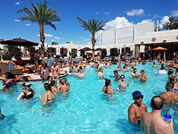 Vegas Pool Party Crawl by Party Bus w/ EZ Entry & Free Drinks