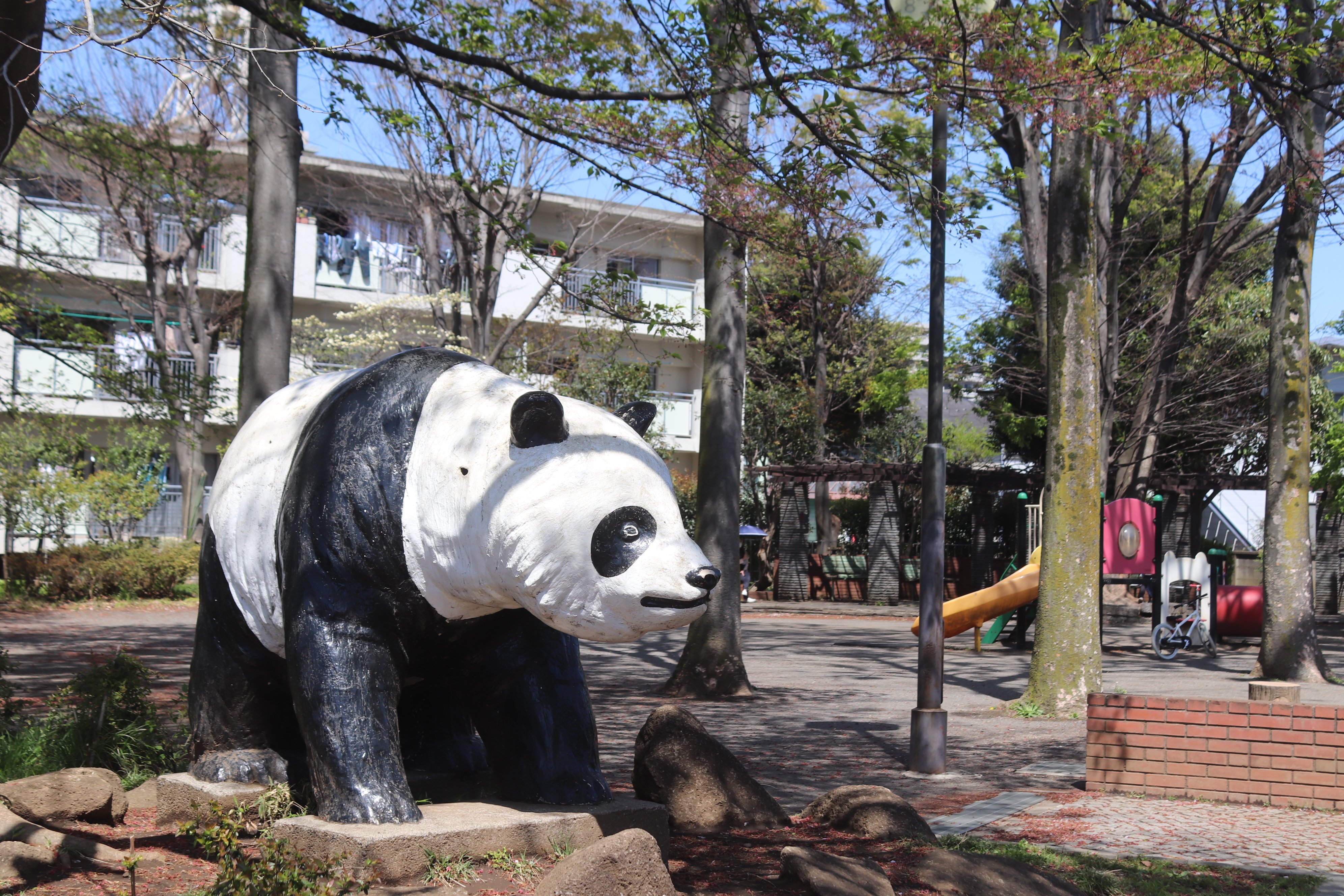 超人気ブティック 2025年 パンダ公園 - 出発前に知っておくべきことすべて 洗顔料