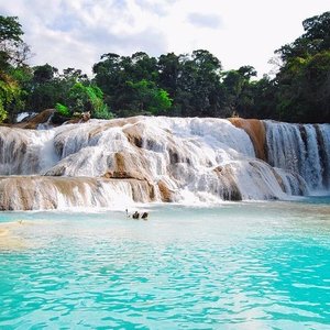 JUNGLE PALACE (PALENQUE, MÉXICO): 57 fotos e avaliações - Tripadvisor