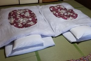 旅行者の写真