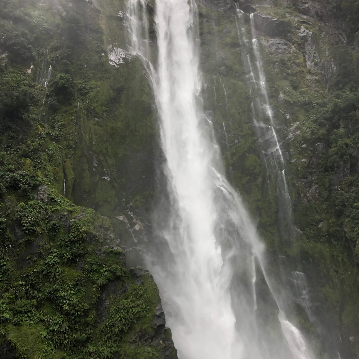 Stirling Falls (Milford Sound) - All You Need to Know BEFORE You Go