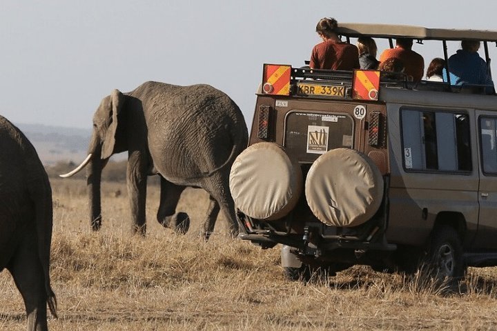 2024 5 Day Amboseli Tsavo West And Tsavo East Safari 1170