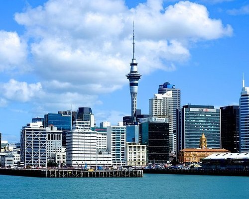 city tours of auckland