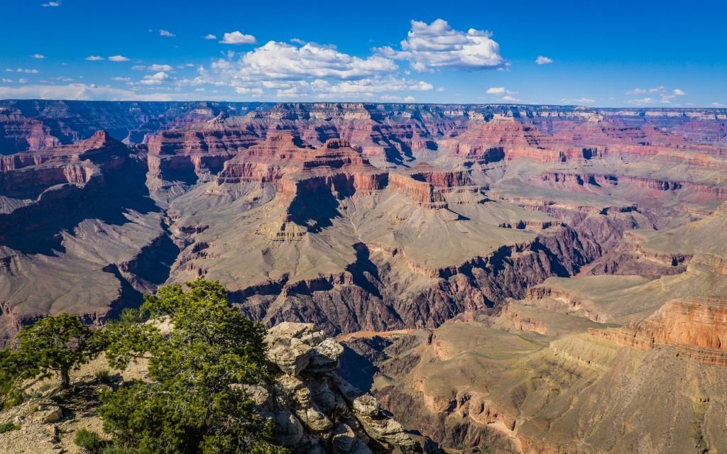 are dogs allowed at the grand canyon