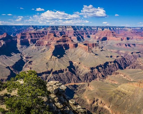 500px x 400px - THE 15 BEST Things to Do in Grand Canyon National Park - 2023 (with Photos)  - Tripadvisor