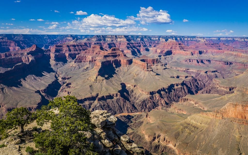Grand Canyon South Rim - 그랜드캐니언 국립공원 - Grand Canyon South Rim의 리뷰 - 트립어드바이저