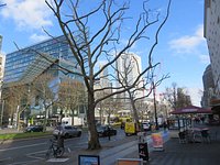 anfahrt mit dem fahrrad von schöneweide zum breitscheidplatz istaf