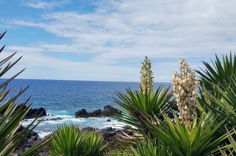 Beautiful views. 