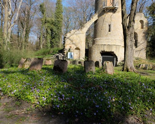 DIE TOP Sehenswürdigkeiten in Harbke 2024 (mit fotos) Tripadvisor