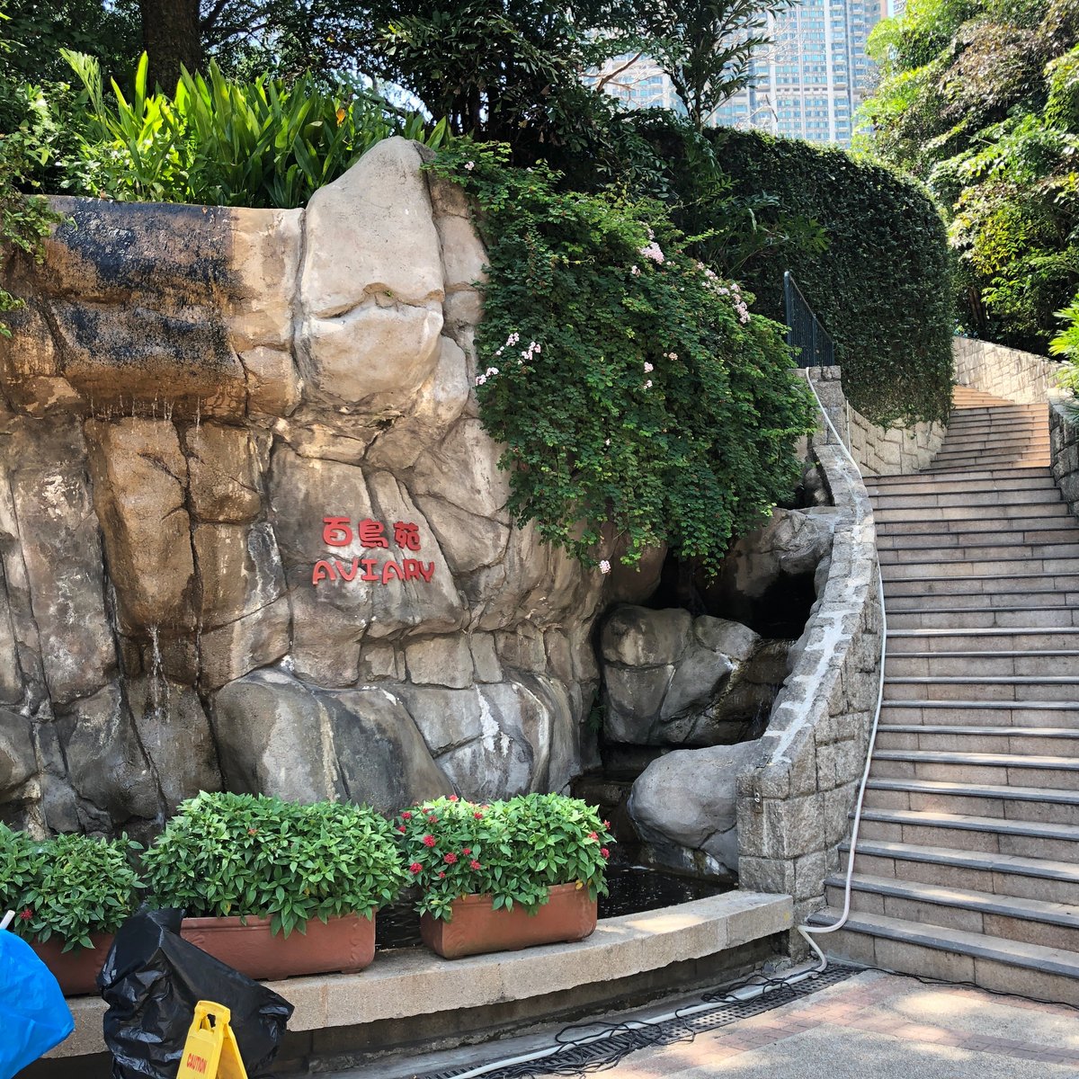 AVIARY (KOWLOON PARK) (Hong Kong) - All You Need to Know BEFORE You Go