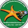 EstreladaRiaFormosa