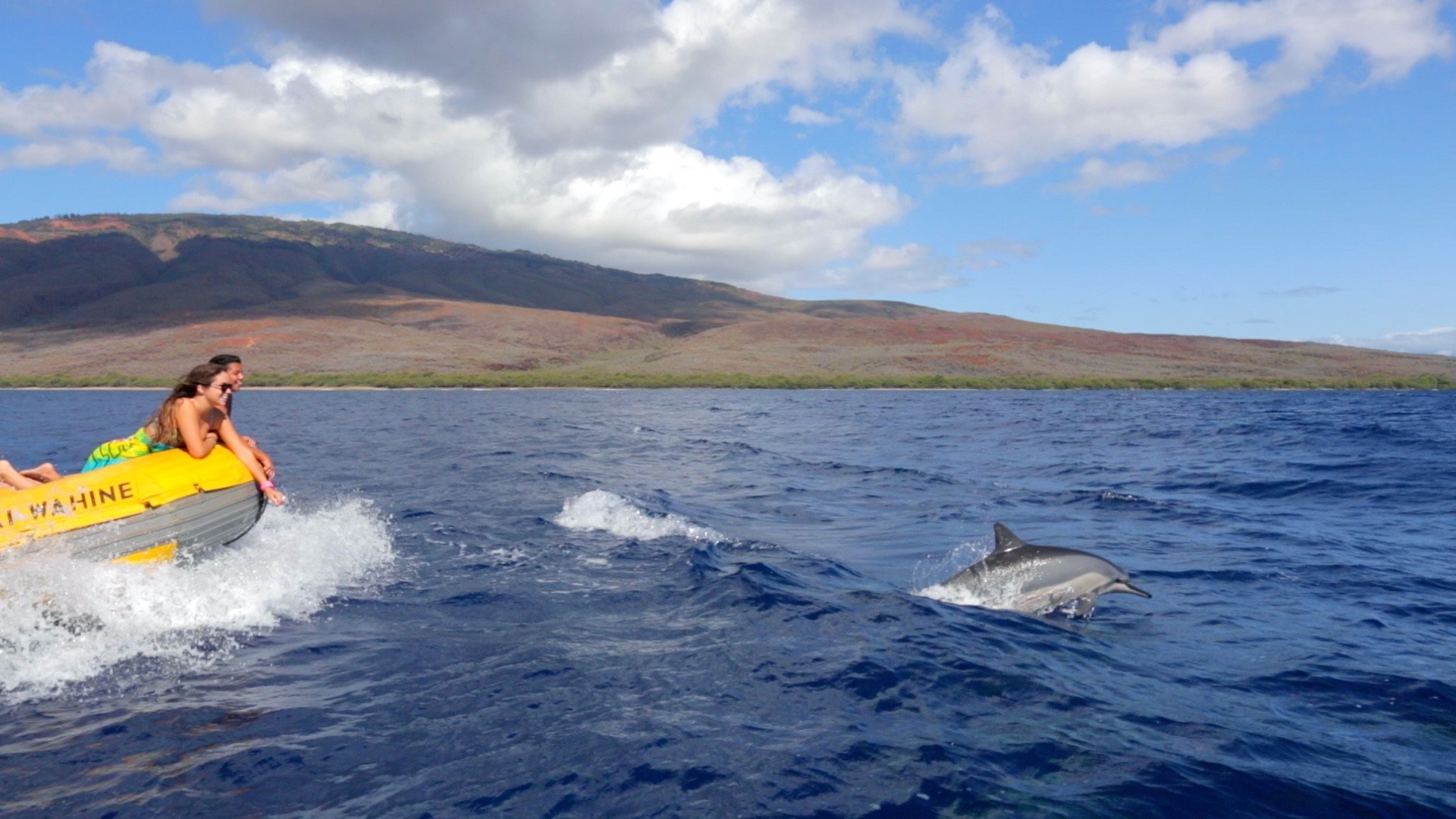 Ultimate Whale Watch & Snorkel (Lahaina) - All You Need to Know BEFORE