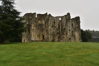 are dogs allowed at old wardour castle