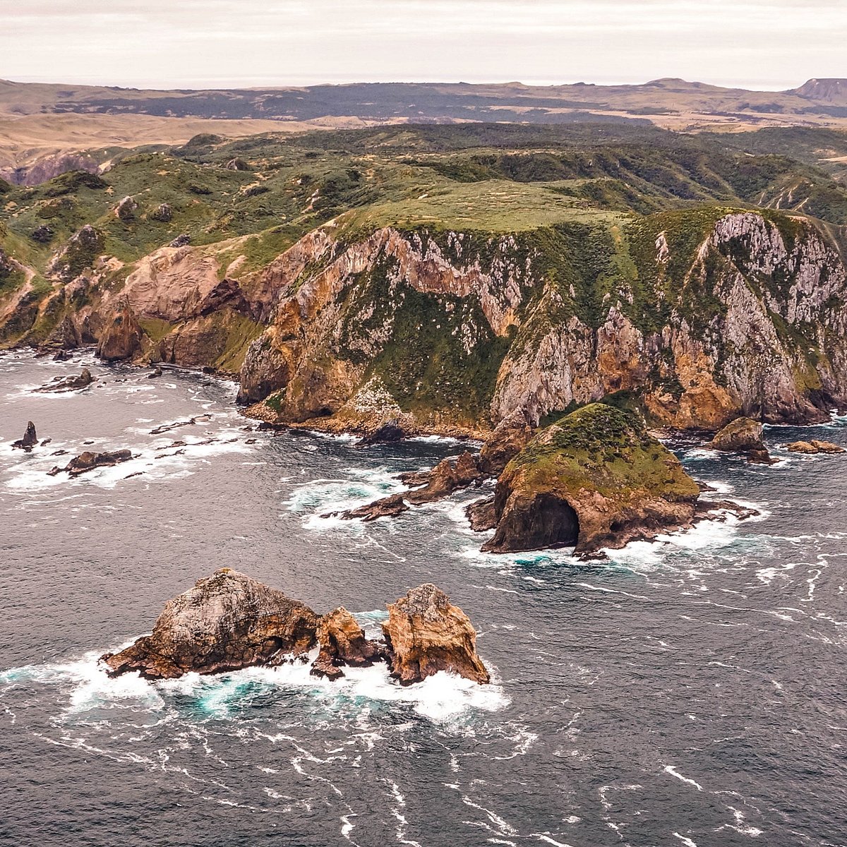 Tourism Chatham Island&apos;s mission is to develop the visitor industry on...