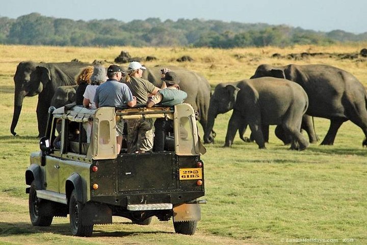 2024 (Waskaduwa) 4-Day Sri Lanka Private Tour from Waskaduwa