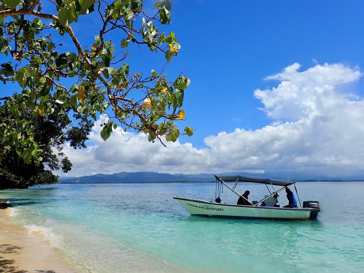 Niugini Dive Adventures - All You Need To Know Before You Go (2024)