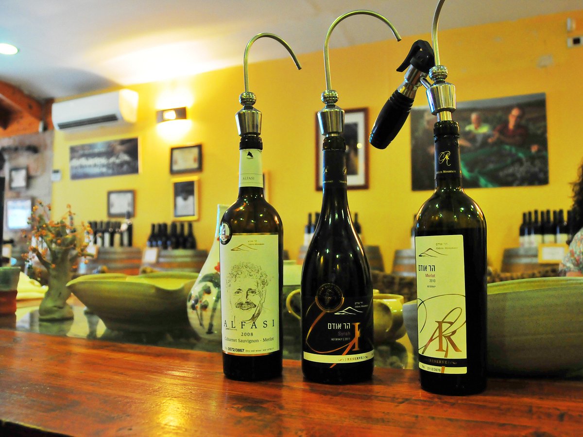 tel aviv wine tour