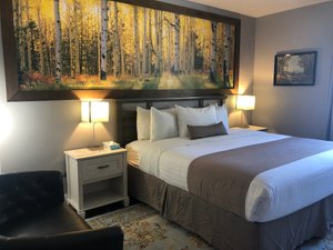 Room & Suite