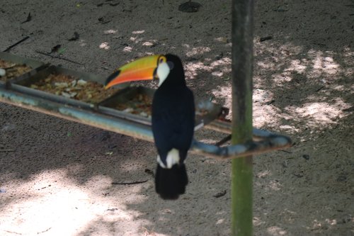 Foz do Iguacu WImom review images