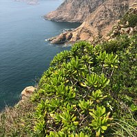 Po Pin Chau Trail - 2