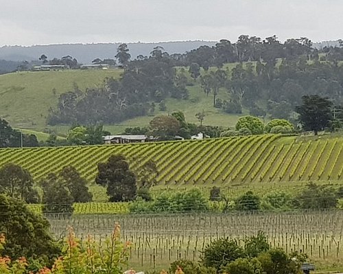 winery tour vic
