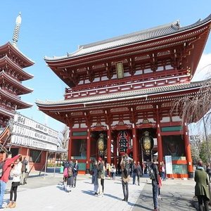 Tokyo 4hr Private Tour with Government-Licensed Guide 2024