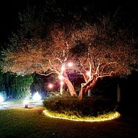 Jardín mágico