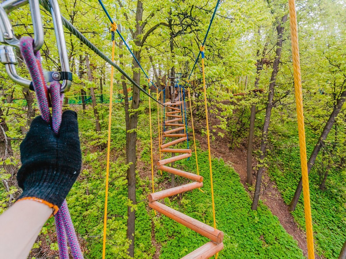 تعليقات حول PandaPark Fili - موسكو, روسيا - Tripadvisor
