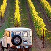 Things To Do in Santa Barbara Wine Country Tour, Restaurants in Santa Barbara Wine Country Tour