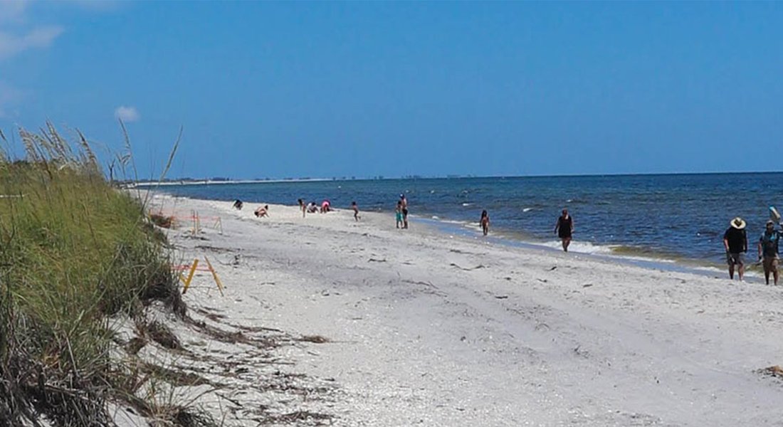 Englewood 2020: Best of Englewood, FL Tourism - Tripadvisor