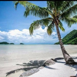 📷©️ Siam Royal View Resorts
