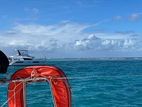 luxury catamaran sailing charters in maine