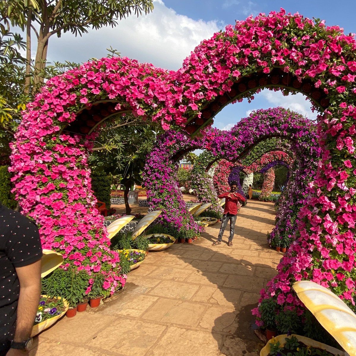 Nashik Flower Park All You Need to Know BEFORE You Go