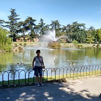 Estanque con fuente central y muchos patos.