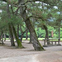 厳かな雰囲気
