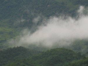 Phòng & Phòng Suite