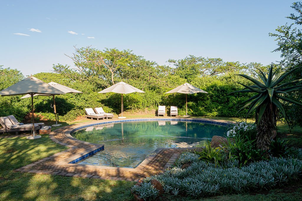 The Hilton Bush Lodge Pool: Pictures & Reviews - Tripadvisor