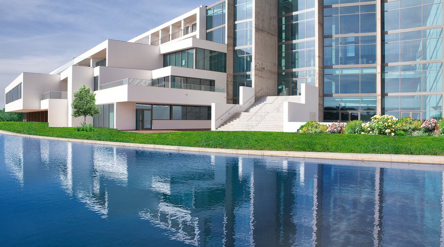 Our 44meters swiming pool! Enjoy