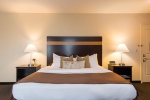 Room & Suite