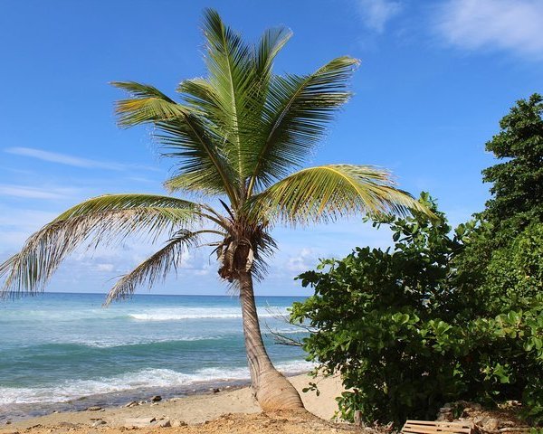 THE 15 BEST Things to Do in Rincon - 2023 (with Photos) - Tripadvisor