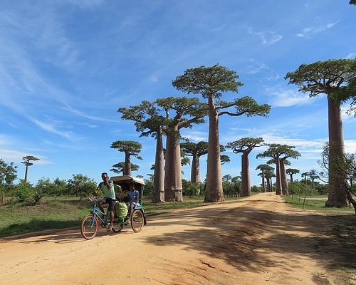 tour guide madagascar 2