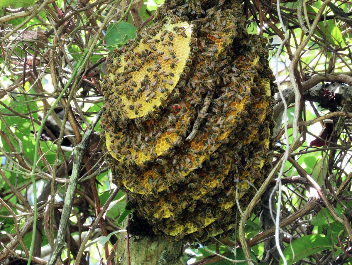 La Palmita Turismo de Naturaleza (Trinidad, Colombia): Hours, Address ...