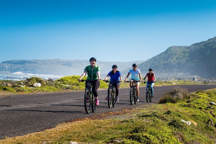 Table mountain mtb discount trails