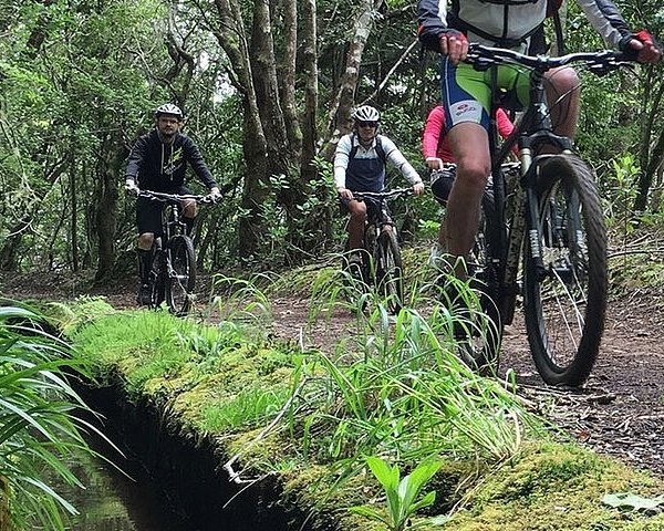 e bike tour funchal