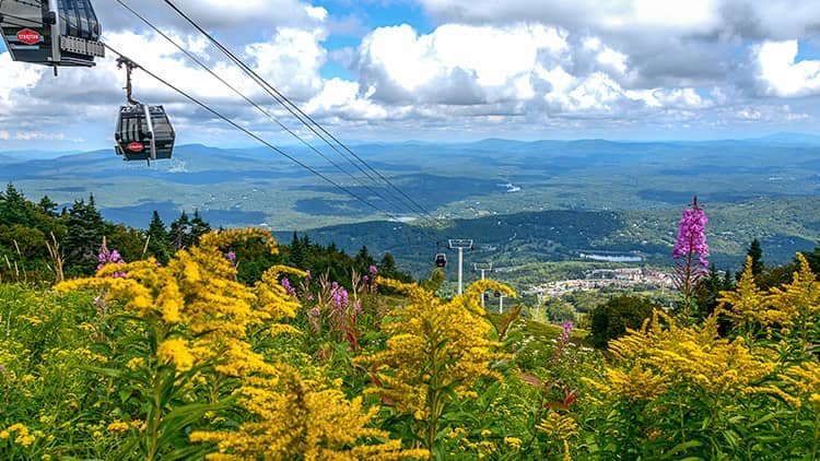 STRATTON MOUNTAIN RESORT - Updated 2020 Prices & Hotel Reviews (VT