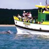 Cronulla and National Park Ferry Cruises