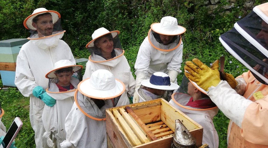 Apiário Pedagógico - ação de sensibilização para a importância dos polinizadores e o papel que estes assumem na produção de alimentos